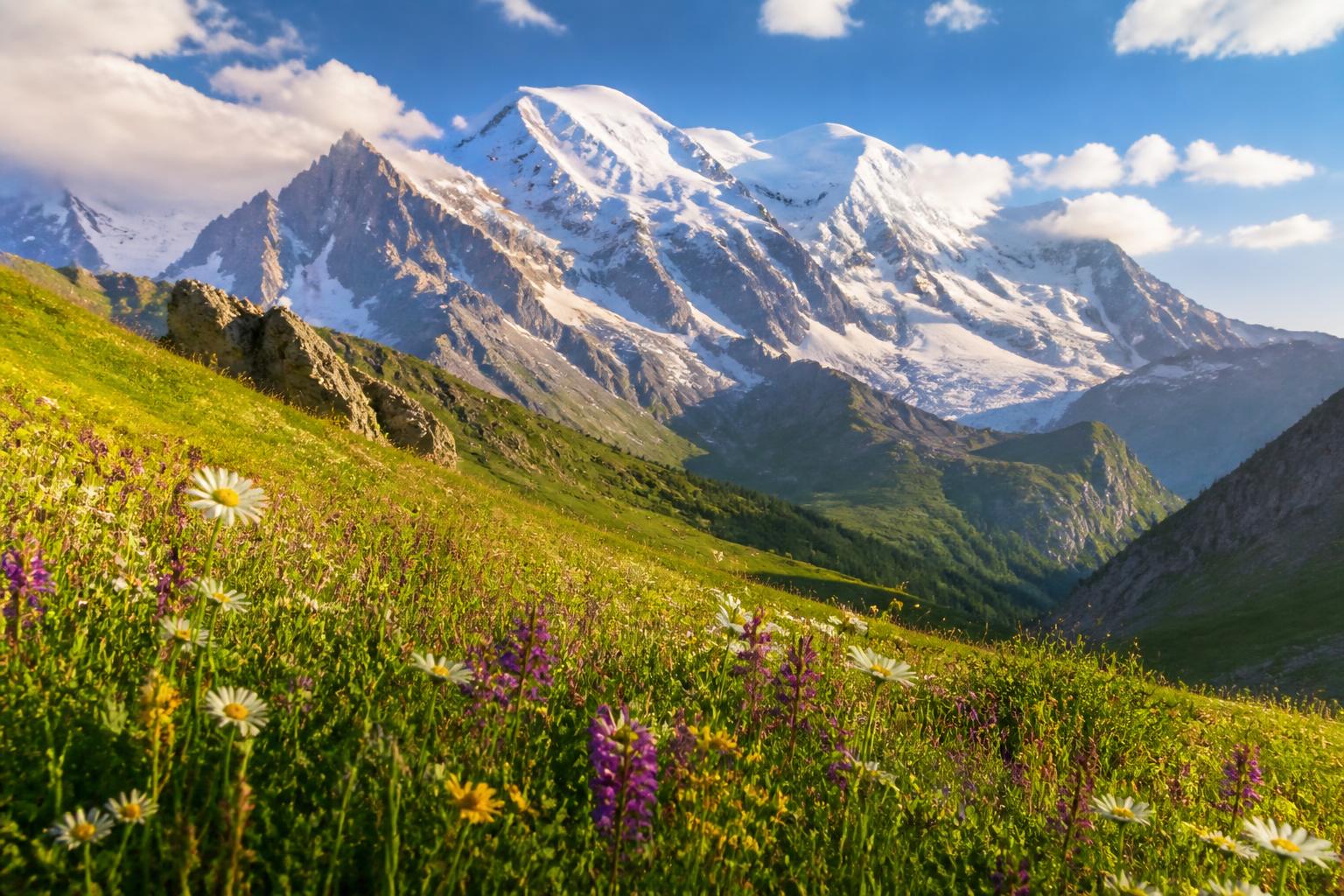 Mont Blanc in summer, snow-capped peaks above a wildflower alpine meadow